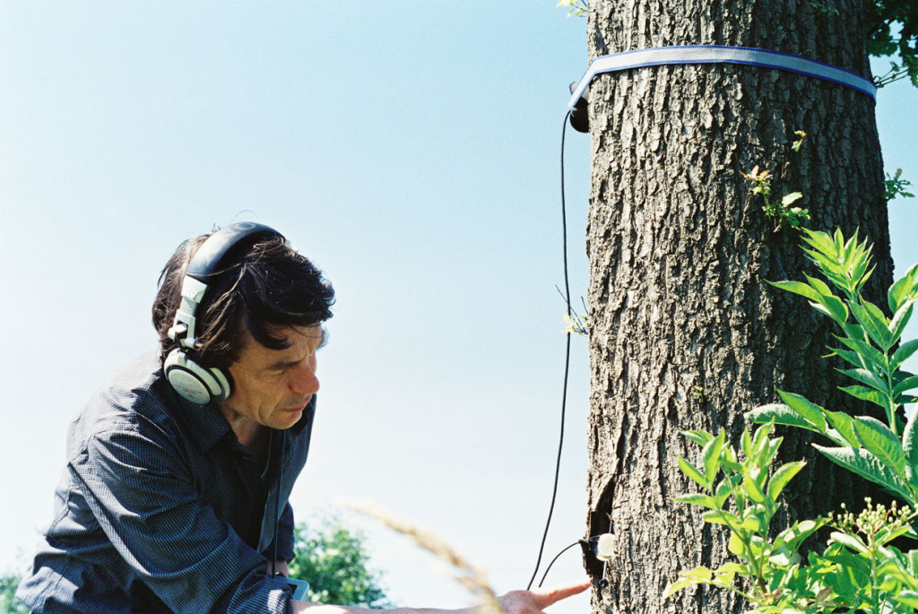 justin_recording_tree_med