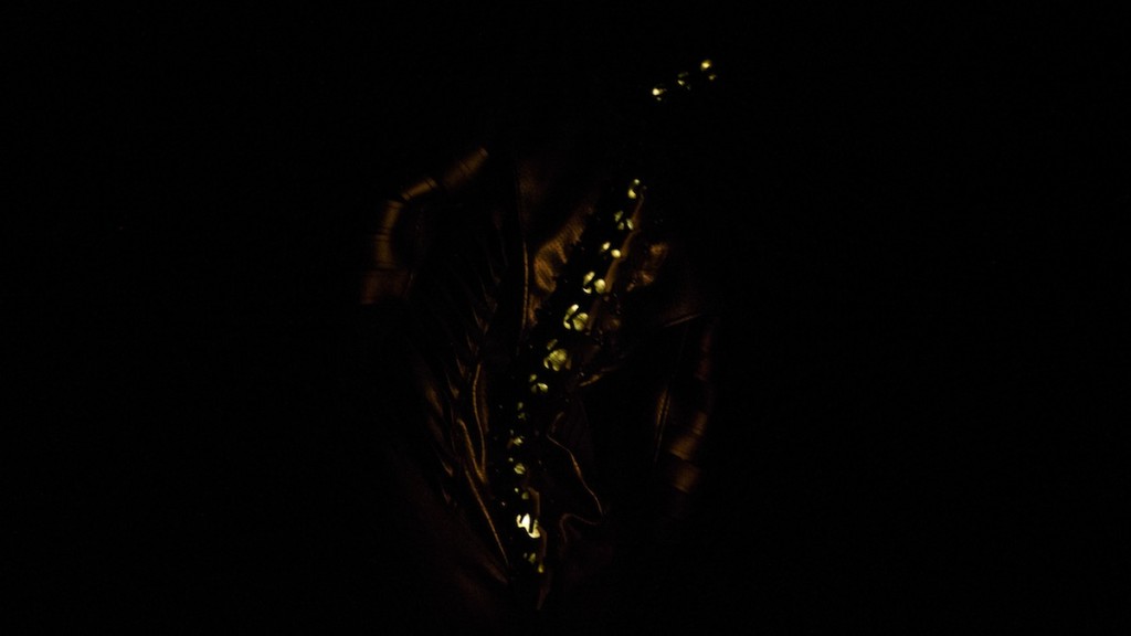 spine_spinning web