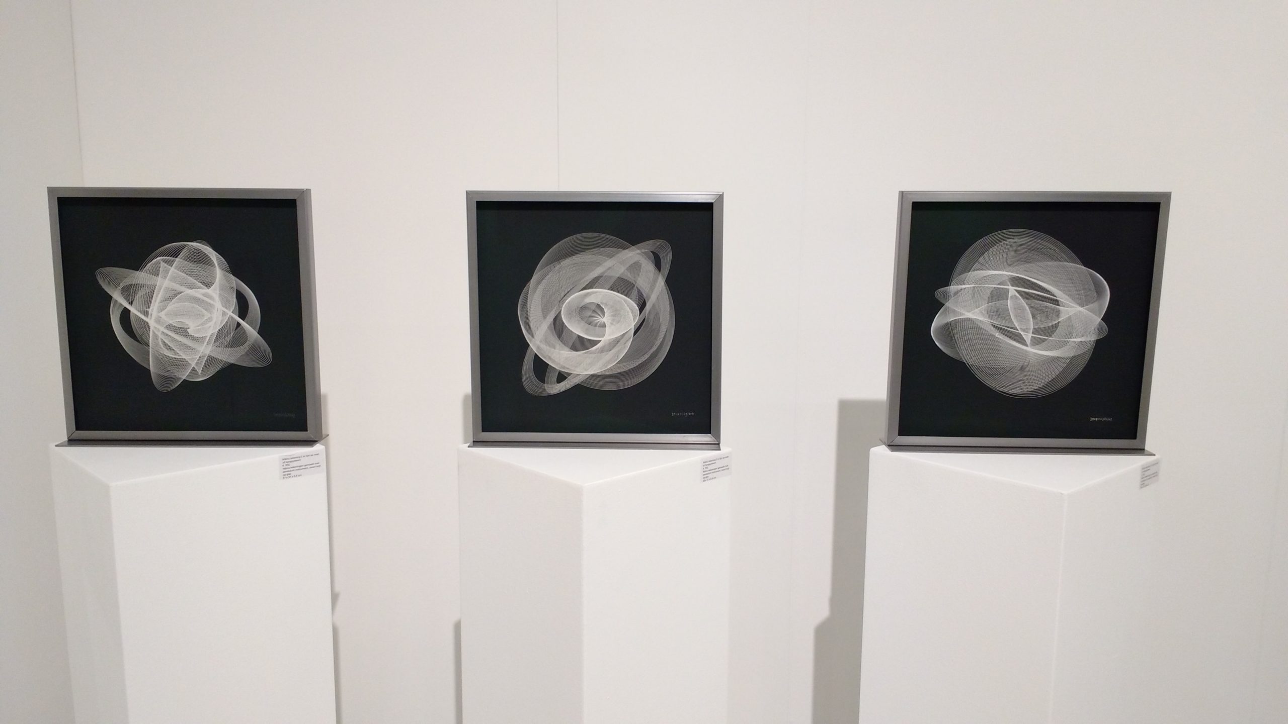 Nibiru at Rotterdam Contemporary
