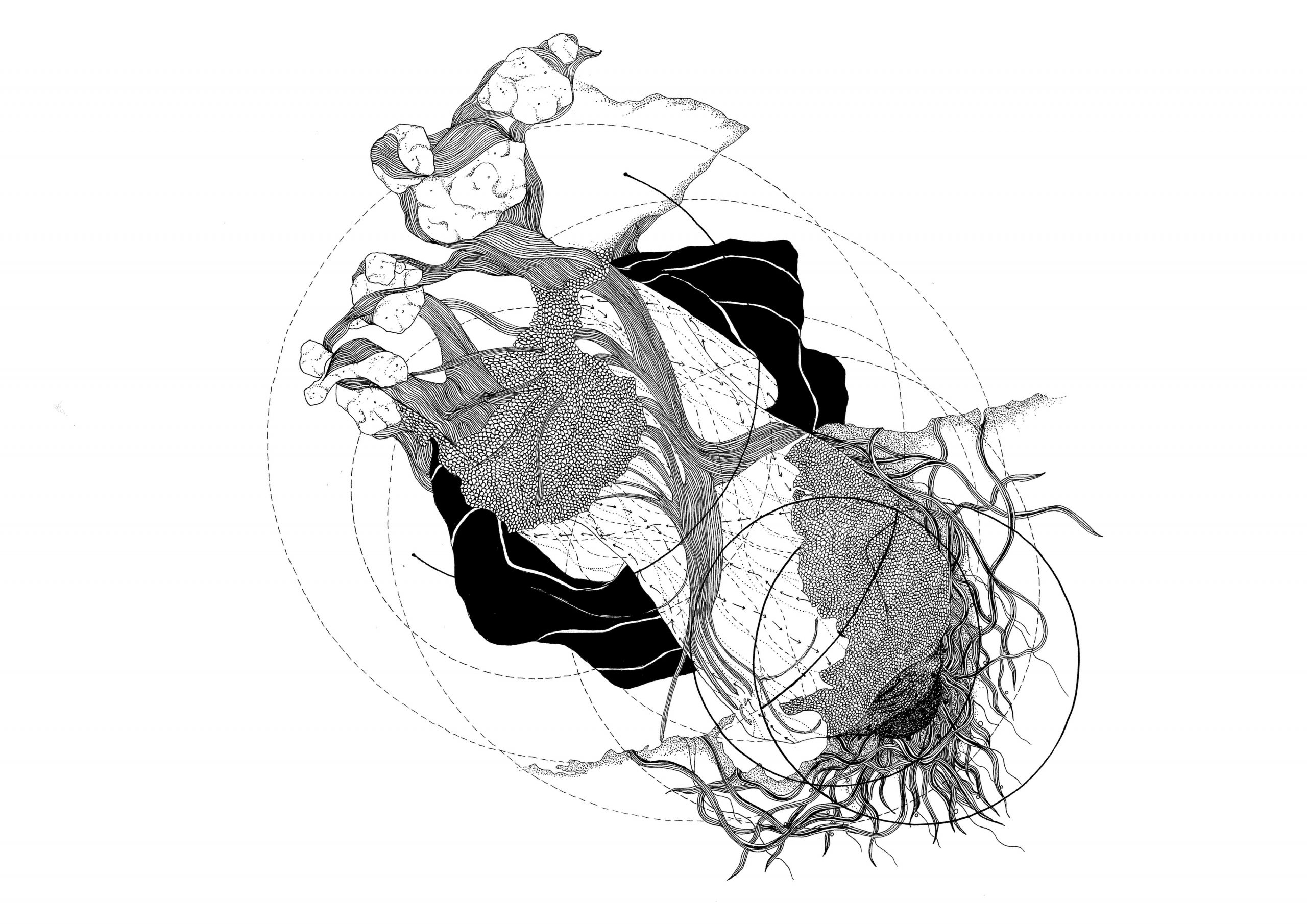 Reading Room #16 – Ecologies of Existence (part 2)