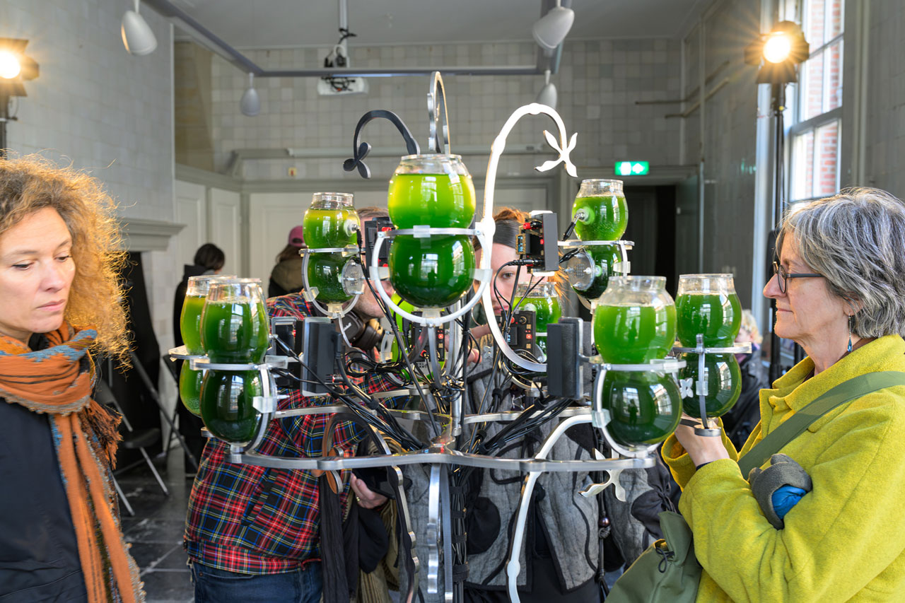Proximity Music: The Ongoing Hum, photo highlights | Instrument